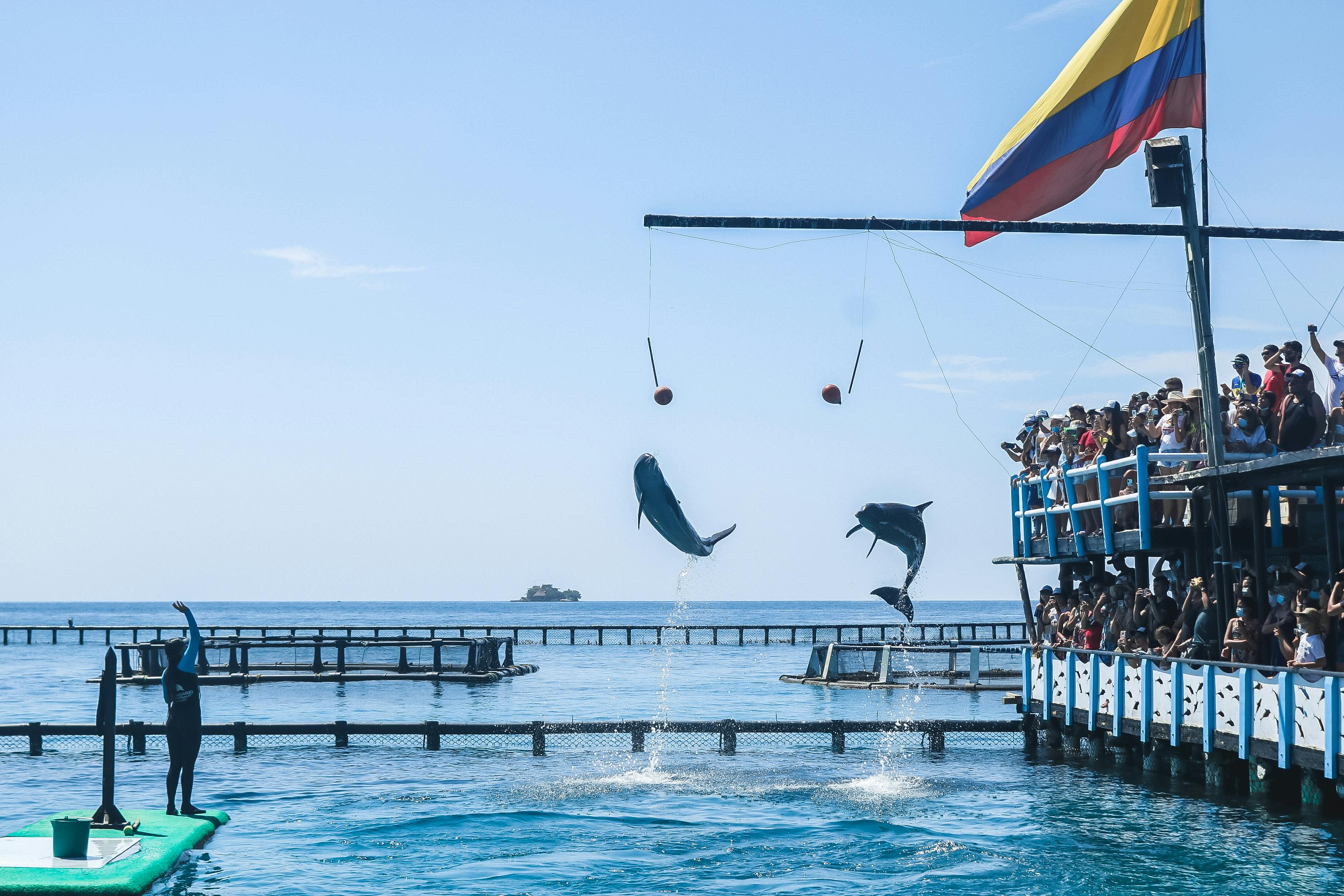 Pasadía Islas del Rosario