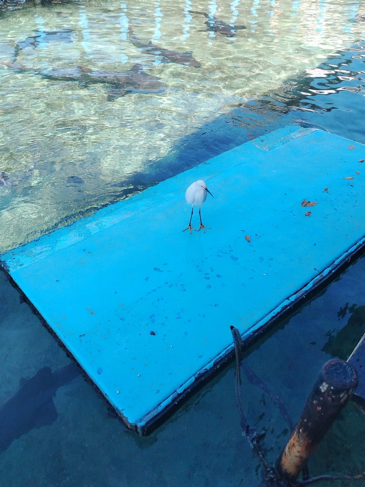 Catering y Gastronomía